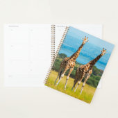 Giraffen in de savanne, Oeganda Planner (Display)