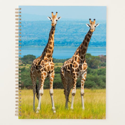 Giraffen in de savanne, Oeganda Planner (Voorkant)