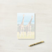 Giraffen in de savanne, Oeganda Post-it® Notes (Op bureau)