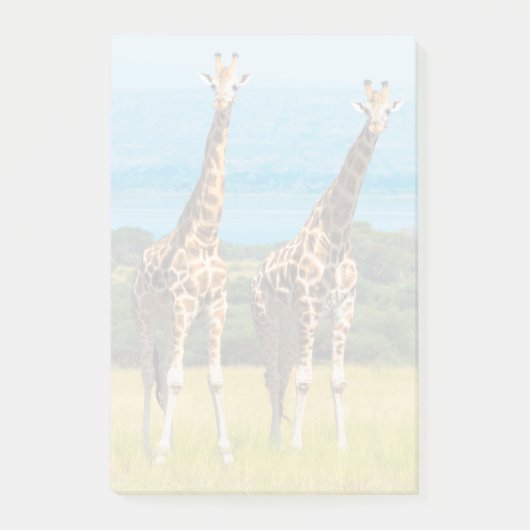 Giraffen in de savanne, Oeganda Post-it® Notes (Voorkant)