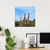 Giraffen in Hemelse Stilte Poster (Thuiskantoor)