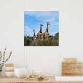 Giraffen in Hemelse Stilte Poster (Keuken)