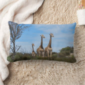 Giraffen in Horizon Calm Kussen (Deken)