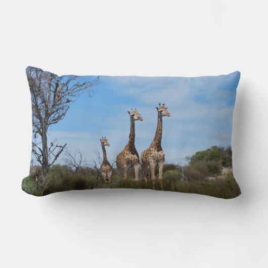 Giraffen in Horizon Calm Kussen (Voorkant)