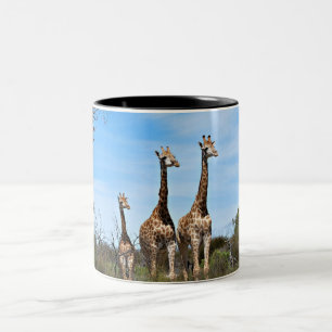 Giraffen in Openluchtverblijf Tweekleurige Koffiemok