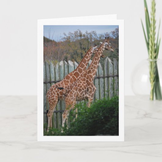 Giraffen in Park Kaart (Voorkant)