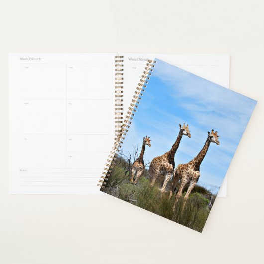 Giraffen in Vredige Dageraad Planner (Display)