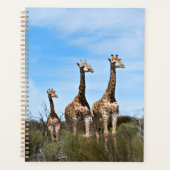 Giraffen in Vredige Dageraad Planner (Voorkant)