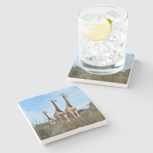 Giraffen in zonovergoten landschap stenen onderzetter