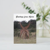 giraffen kruisen briefkaart (Staand voorkant)