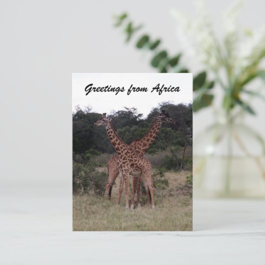 giraffen kruisen briefkaart (Staand voorkant)