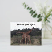 giraffen kruisen groeten briefkaart (Staand voorkant)