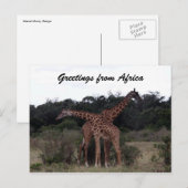 giraffen kruisen groeten briefkaart (Voorkant / Achterkant)