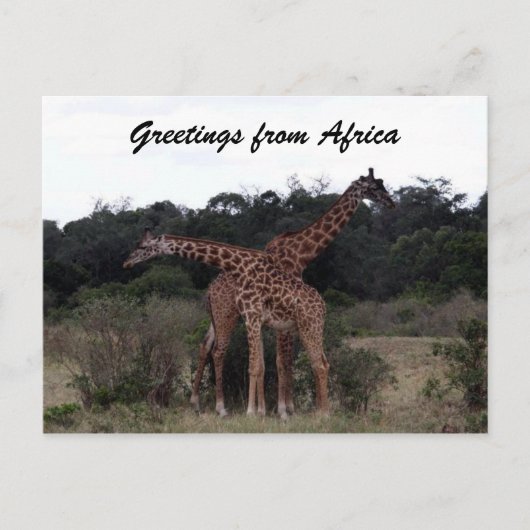 giraffen kruisen groeten briefkaart (Voorkant)