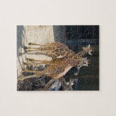 giraffen legpuzzel (Horizontaal)