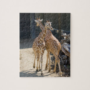 giraffen legpuzzel