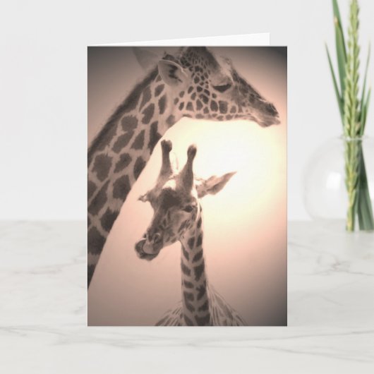 giraffen, moeder en kind kaart (Voorkant)