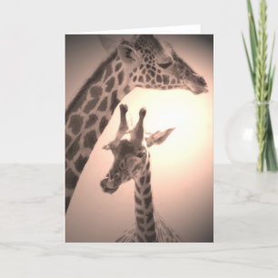 giraffen, moeder en kind kaart