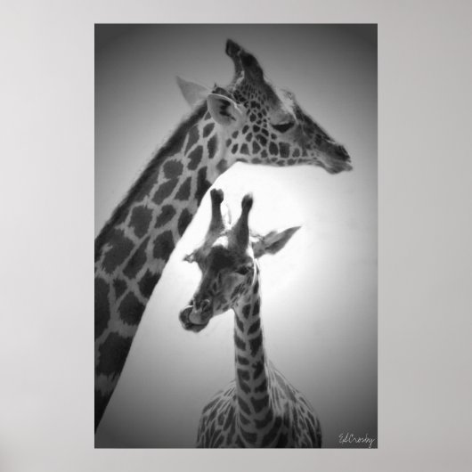 giraffen, moeder en kind poster (Voorkant)