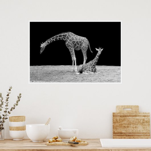 giraffen onder afrikaanse luchten bij nacht zwart  poster (Keuken)