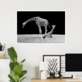 giraffen onder afrikaanse luchten bij nacht zwart  poster (Thuiskantoor)