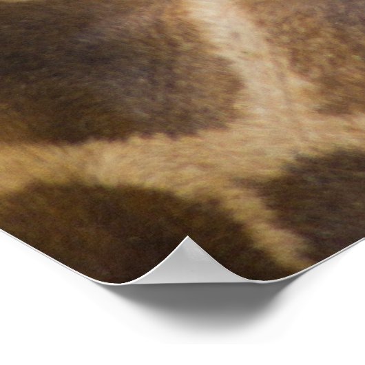 giraffen poster (Hoek)