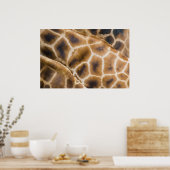 giraffen poster (Keuken)