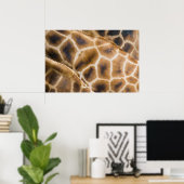 giraffen poster (Thuiskantoor)