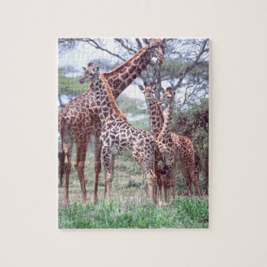 Giraffengroep of -kudde met jongen, Giraffa Legpuzzel (Verticaal)