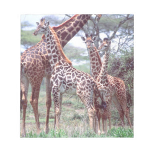 Giraffengroep of -kudde met jongen, Giraffa Notitieblok