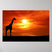 Giraffensilhouet bij zonsondergang poster (Voorkant)