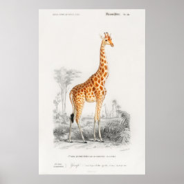 Giraffeprint Poster