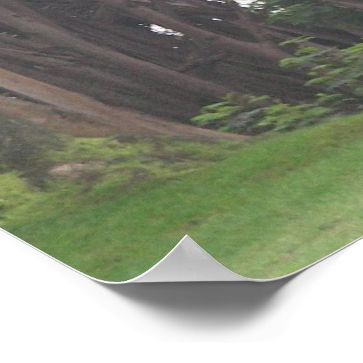 giraffes 002 canvas poster (Hoek)