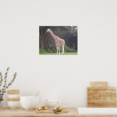 giraffes 002 canvas poster (Keuken)