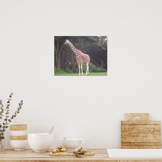 giraffes 002 canvas poster (Keuken)
