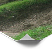 giraffes 005 canvas poster (Hoek)