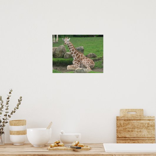 giraffes 005 canvas poster (Keuken)