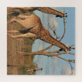 Giraffes 20" x 20" puzzel (Horizontaal)