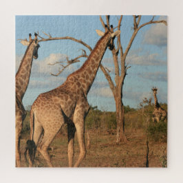 Giraffes 20" x 20" puzzel