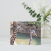 GIRAFFES # 2 BRIEFKAART (Staand voorkant)