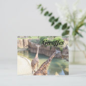 GIRAFFES # 5 BRIEFKAART (Staand voorkant)