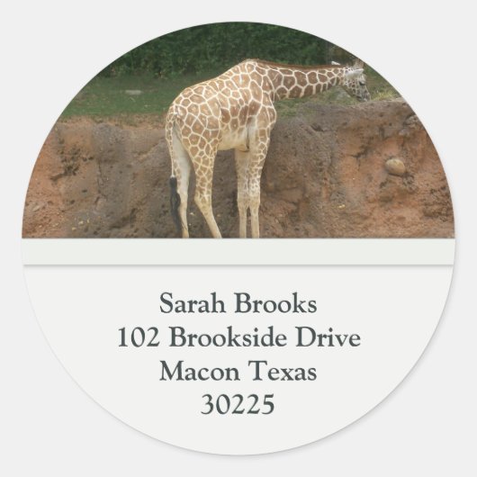 Giraffes Adresetiketten Ronde Sticker (Voorkant)