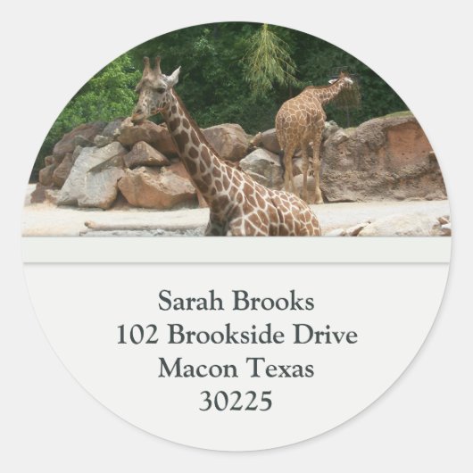 Giraffes Adresetiketten Ronde Sticker (Voorkant)