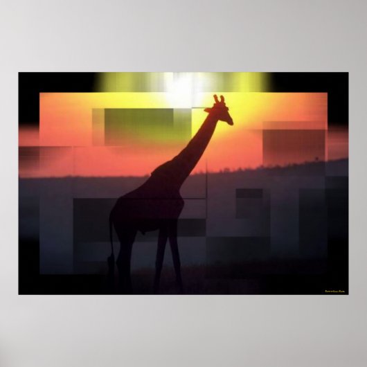 Giraffes afdrukken poster (Voorkant)