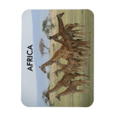 giraffes africa magneet (Verticaal)
