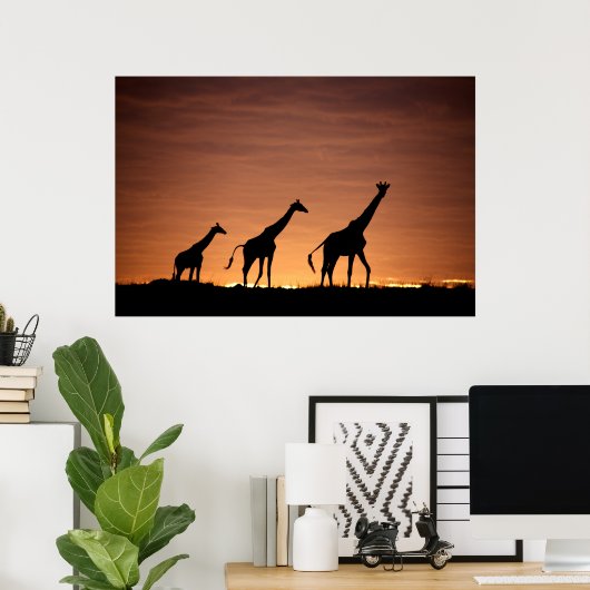 Giraffes at Sunset Poster (Thuiskantoor)