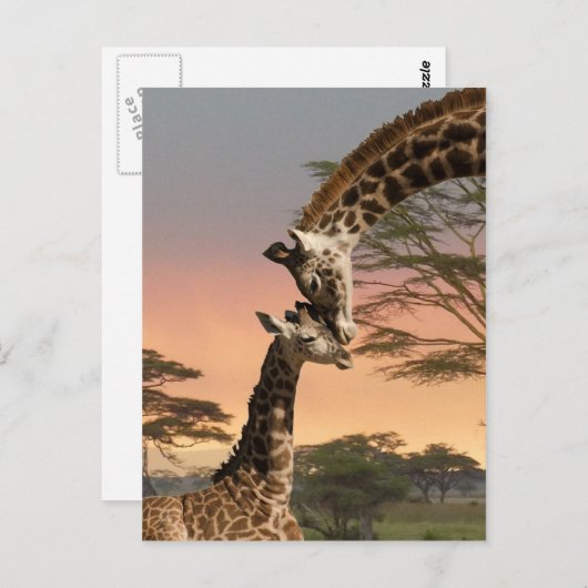 Giraffes begroeten elkaar briefkaart (Voorkant / Achterkant)
