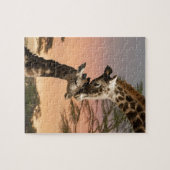 Giraffes begroeten elkaar legpuzzel (Horizontaal)