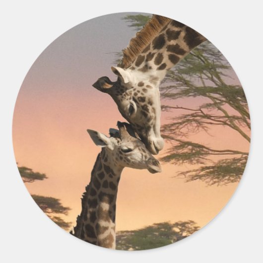 Giraffes begroeten elkaar ronde sticker (Voorkant)