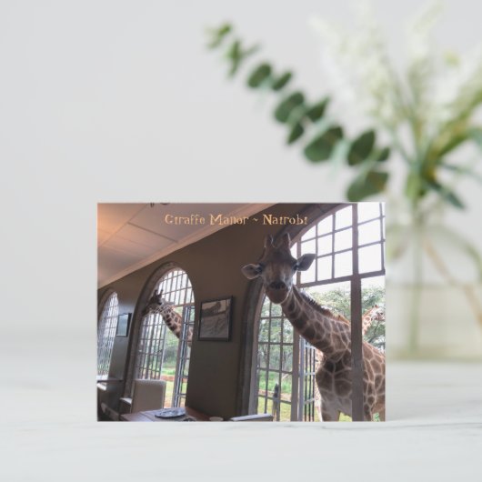 Giraffes bij de Giraffe Manor in Nairobi Briefkaart (Staand voorkant)